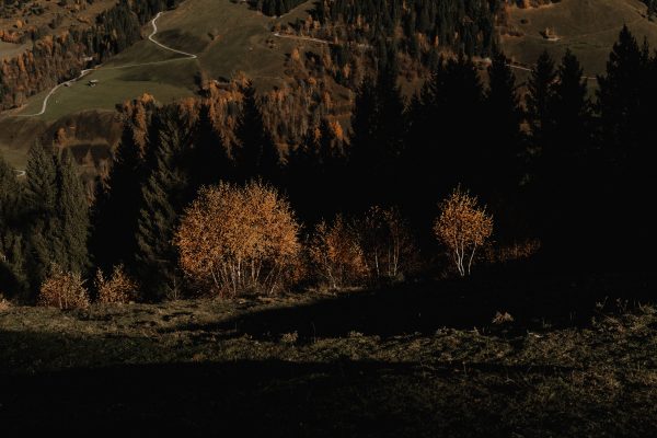 Chalet in den Alpen mit Blick in das Gasteiner Tal
